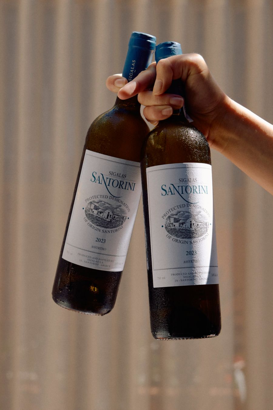 Holding a couple of chilled bottles of Greek white wine 