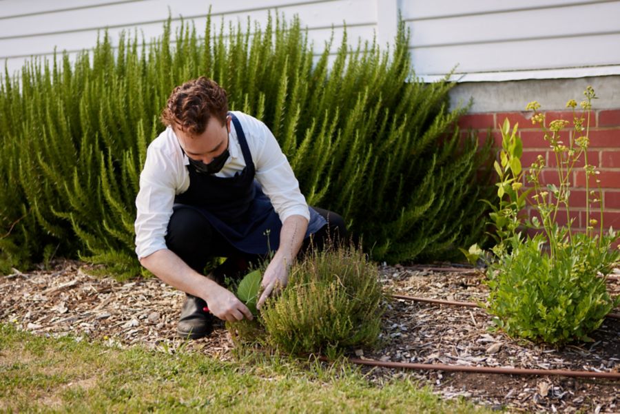 Delicious and fresh food at The Agrarian Kitchen