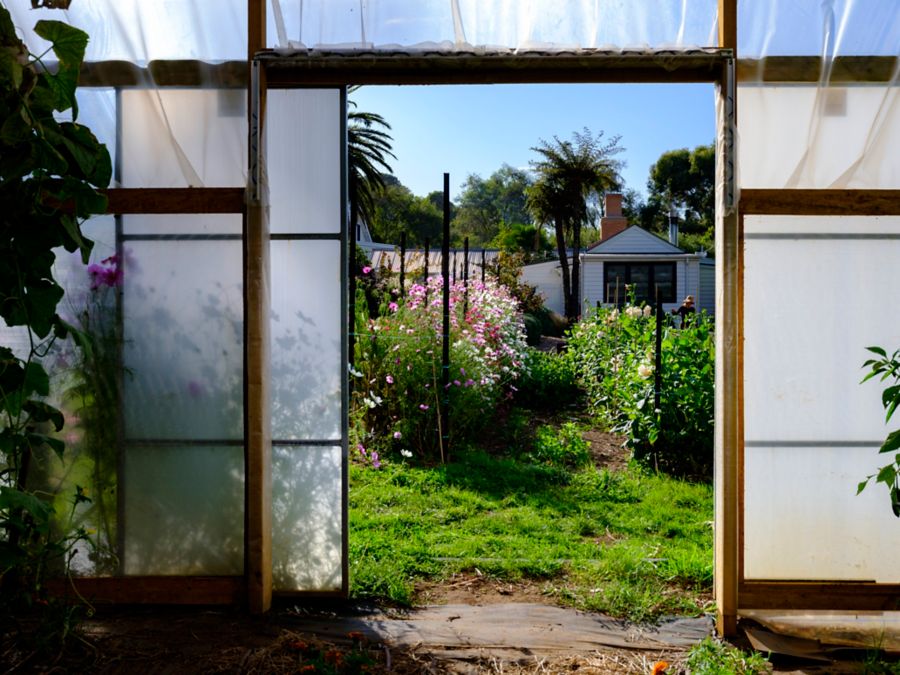 outdoor garden at Tedesca Osteria