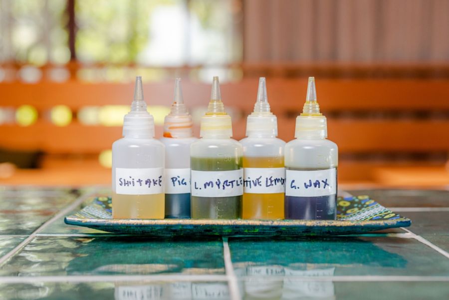 Flavours at Old Youngs