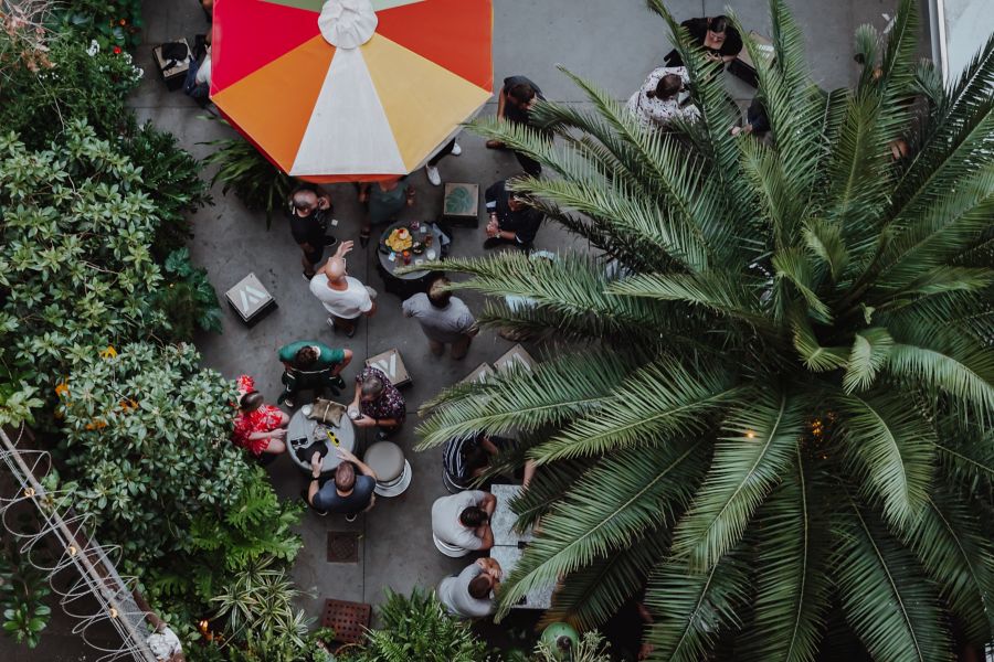 Looking down to the leafy ground floor at Melbourne's Whitehart