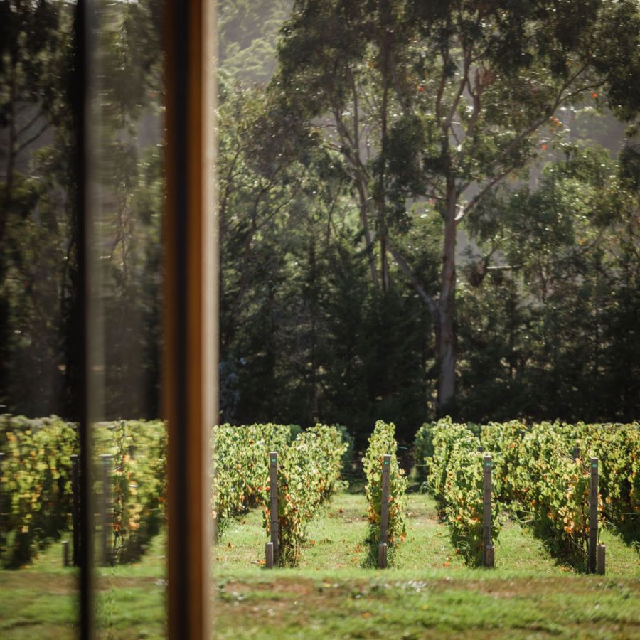  mornington peninsula’s finest wines