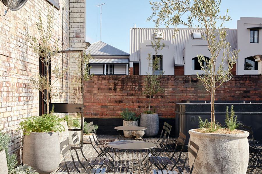 Rooftop at Agnes Wine Bar in Brisbane