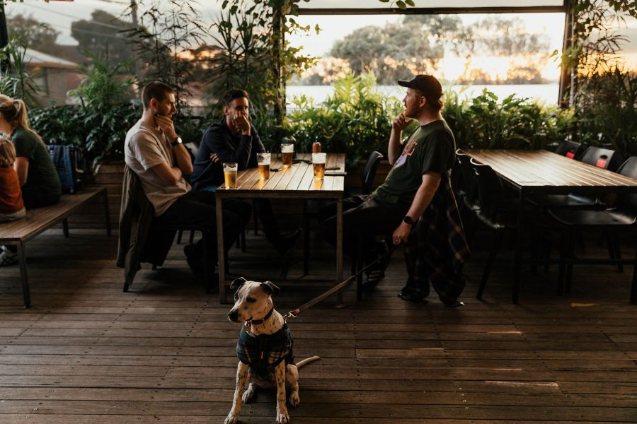 men's with a pet dog in restaurant