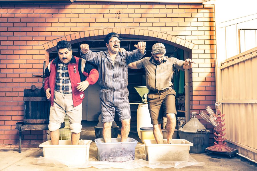 Sooshi Mango stomping grapes