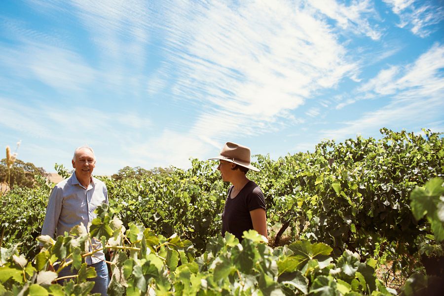 In the vines at Jasper Hil