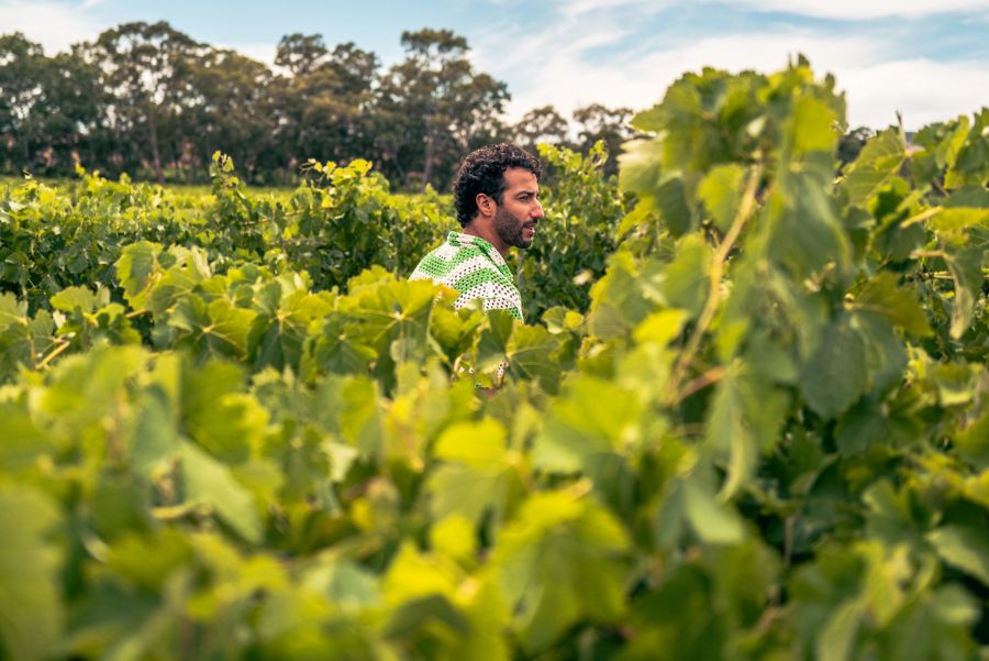 Daniel Ricciardo walking through a vineyard in the Barossa Valley  