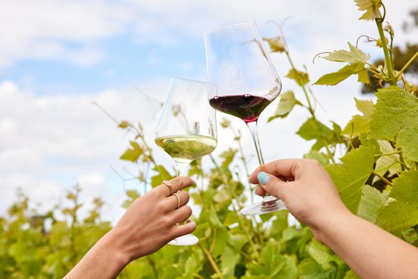 Cabernet sauvignon and Sauvignon blanc semillon blends