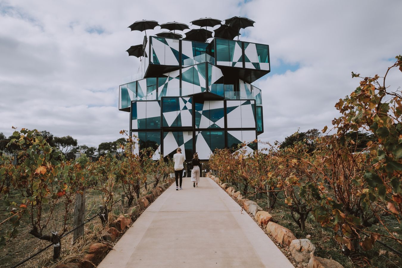 Vine Guide: McLaren Vale edition