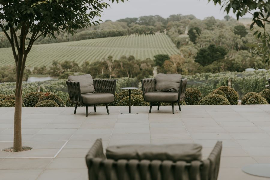 Drinks at Rare Hare Wine & Food Store