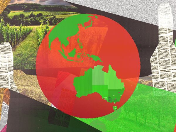  Sunscreen on grapes? It’s just one way our producers are tackling the challenges.&nbsp; 
