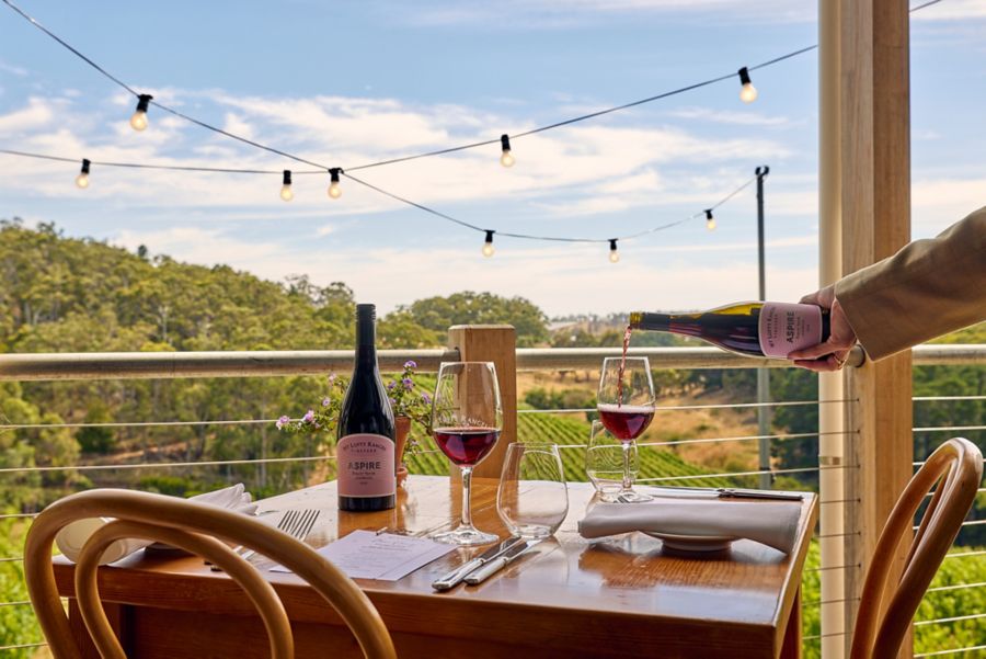 The outlook over vines at Mt Lofty Ranges Vineyard