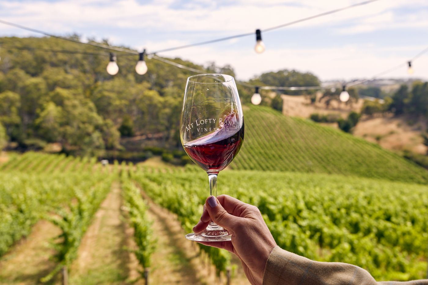 A glass of pinot noir and vines at Lofty Ranges Vineyard 