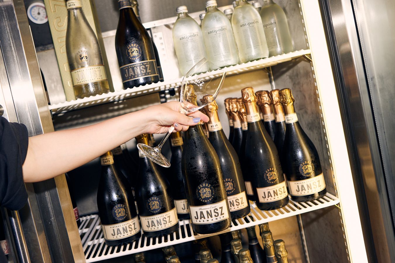 Vine Guide: Northern Tasmania edition