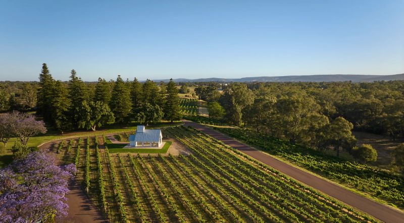 Vine Guide: Swan Valley edition 