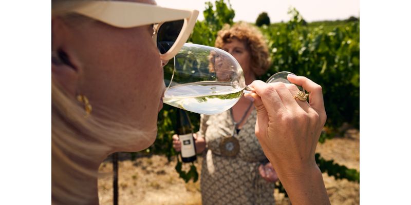 An expert’s guide to Adelaide Hills must-try wines