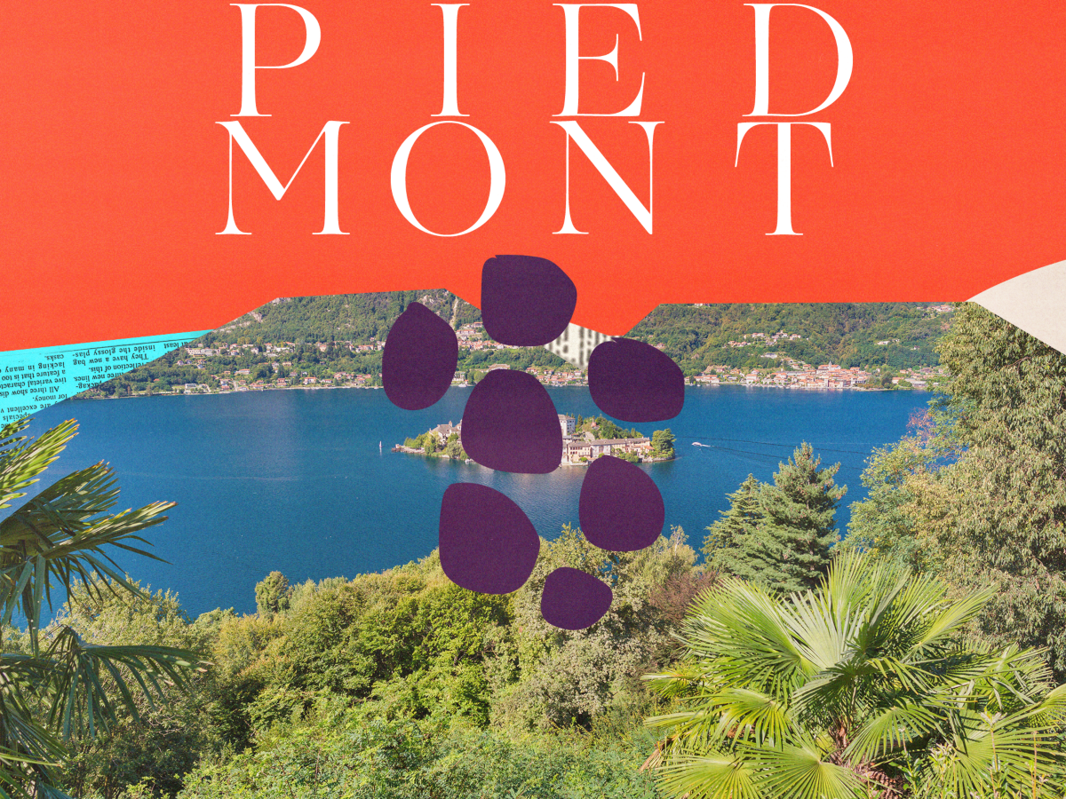 Why Piedmont is on every wine lover’s bucket list