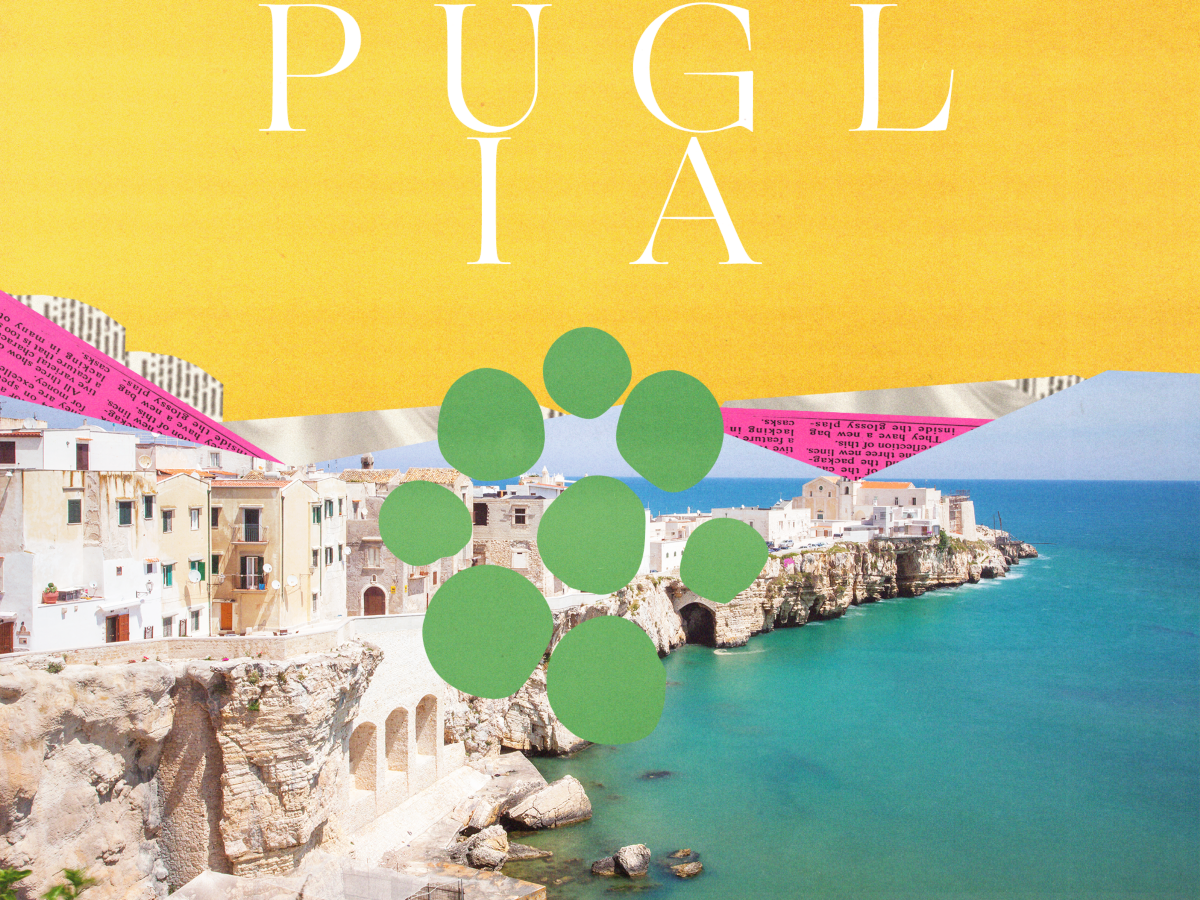 5 reasons why the Puglia wine region is not just a pretty face