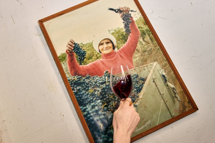 Get a taste of Italy’s Calabria in Coonawarra at the Zema Estate cellar door.