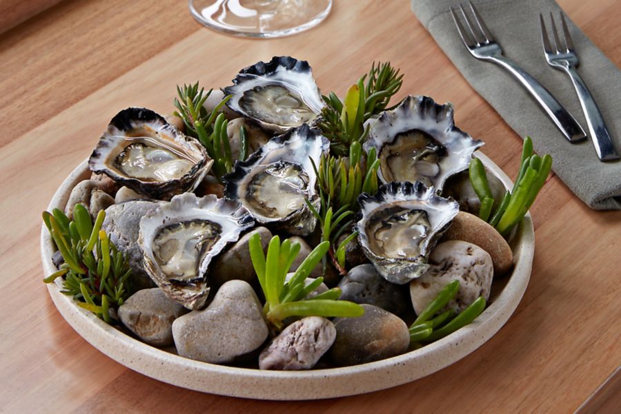 Oysters at Sardine Dining in Paynesville 