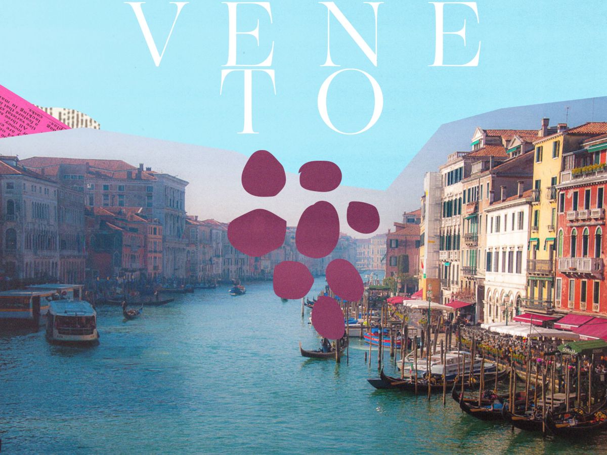 Is Veneto Italy’s best-kept wine secret? | Dan Murphy’s