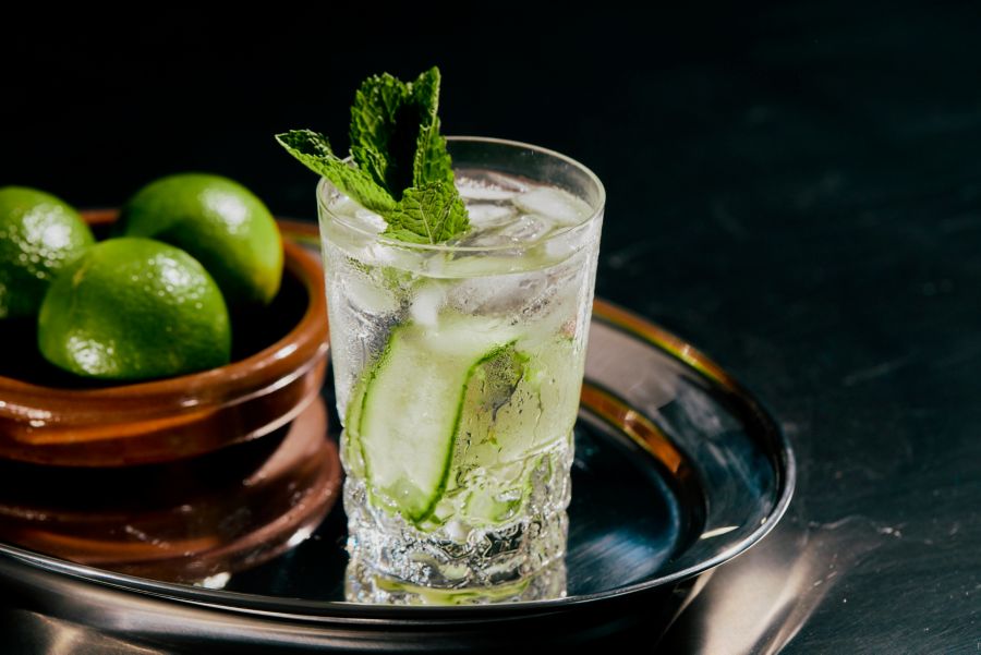 A glass of Gin and Tonic with lemons