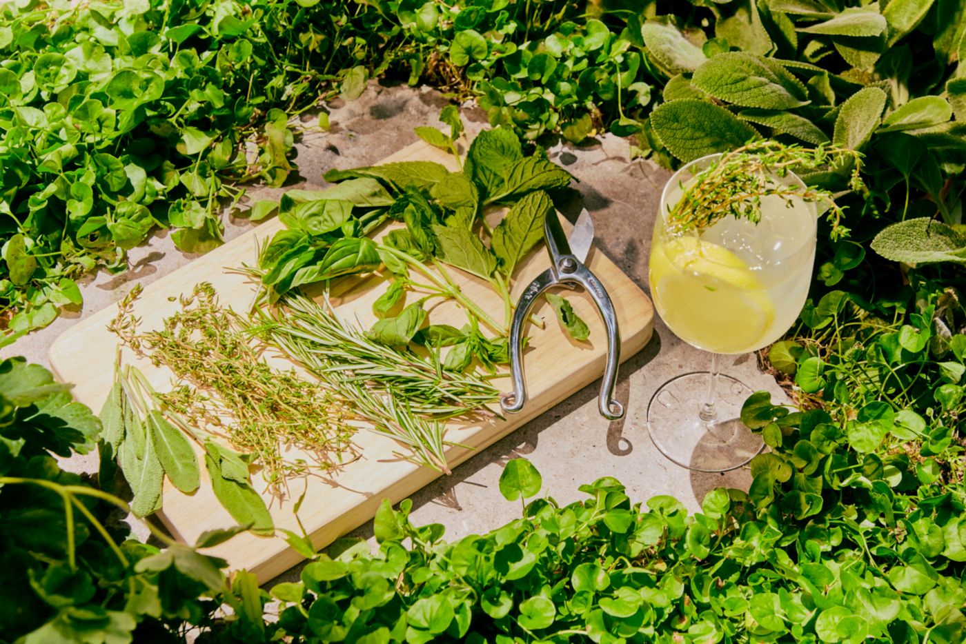 A cocktail next to a board with various herbs on it 