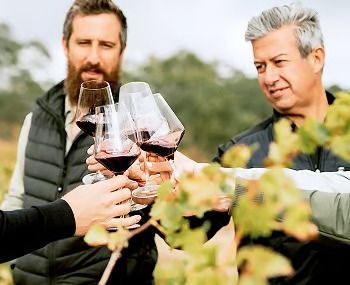 Barossa Valley: An iconic wine region