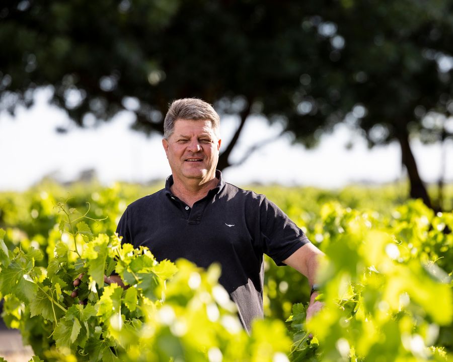 Mark Jamieson Winemaker
