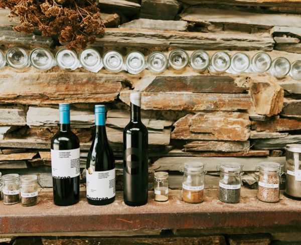 The biodynamic wines revolutionising McLaren Vale