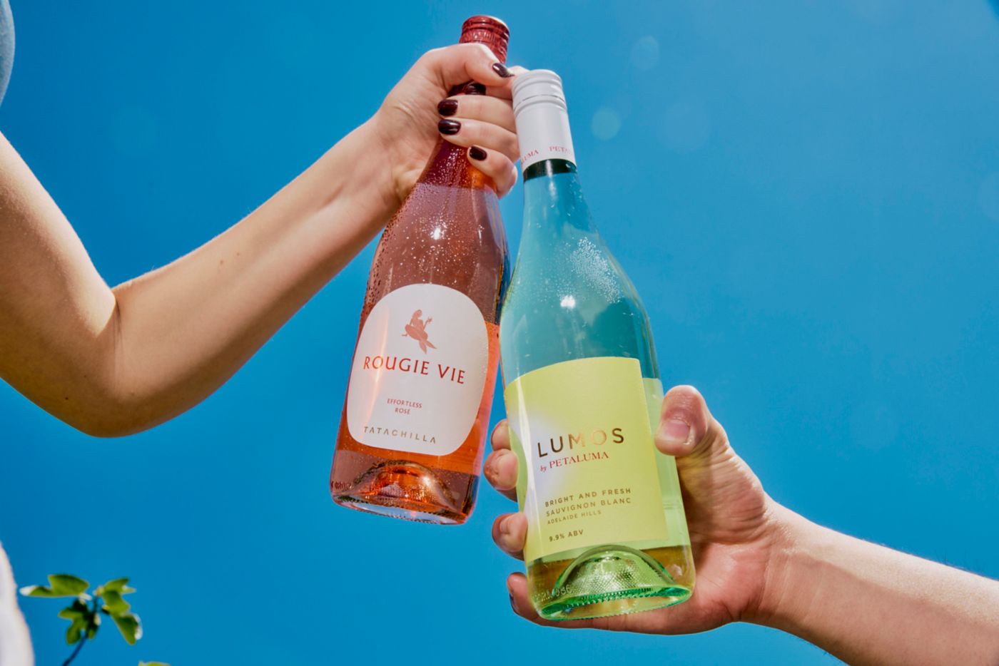 Two hands, each holding a bottle of lighter wine against a blue sky