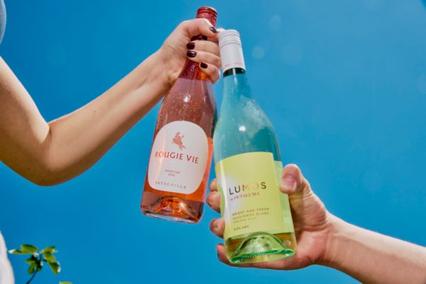  Going all in on moderation?&nbsp;These low-alcohol picks still bring all the flavour. 
