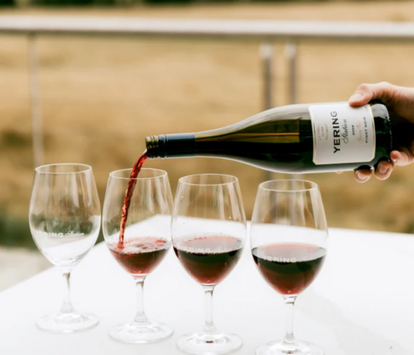 An expert's guide to the Yarra Valley's must-try wines